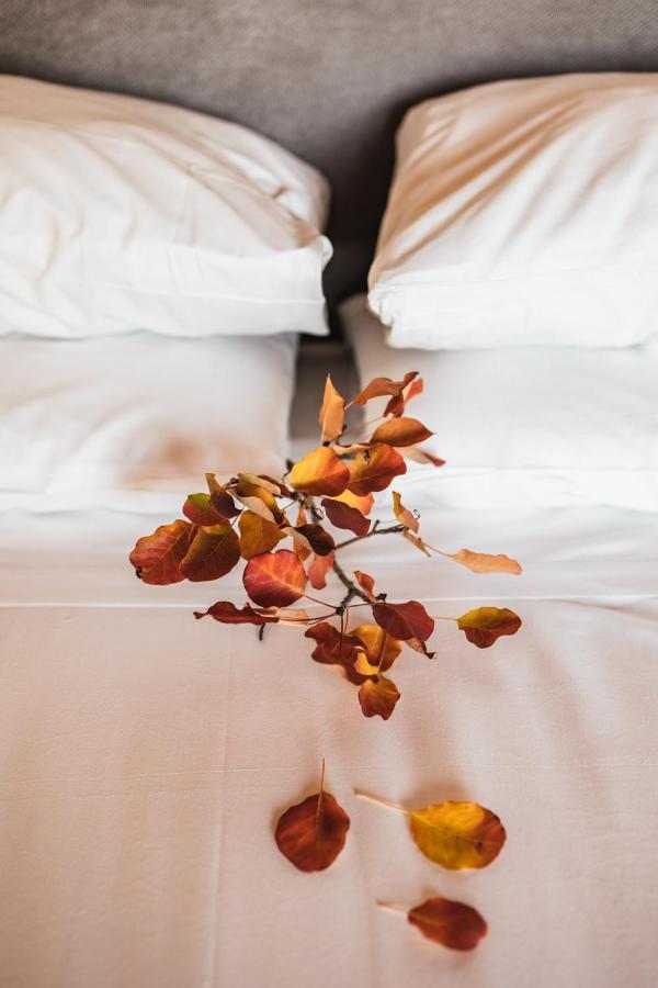 Encanto Agriturismo & Private Spa Visogliano 外观 照片